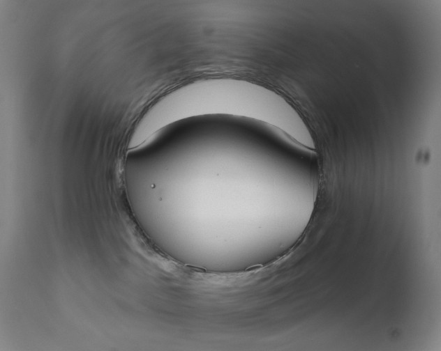 X0000111610045200907311149