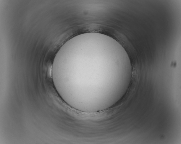 X0000111610046200907311149