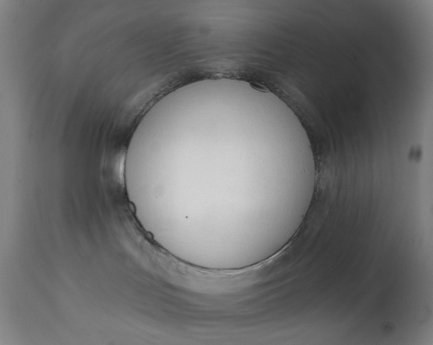 X0000111610047200907311149