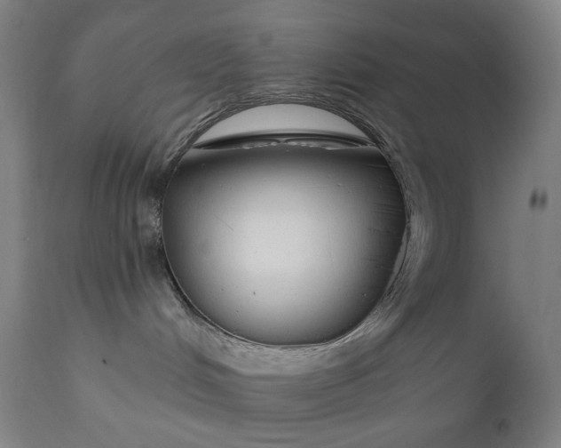 X0000111610048200907311149