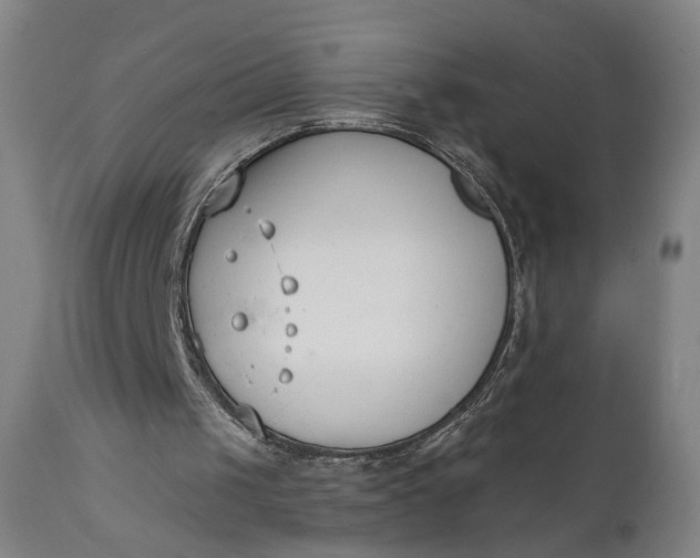 X0000111610049200907311148