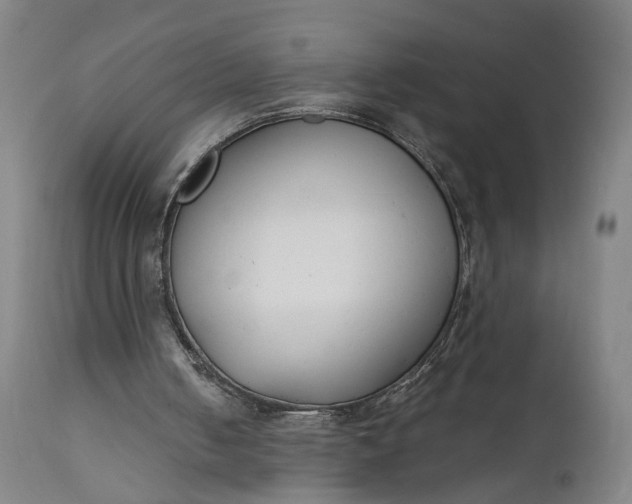 X0000111610050200907311148