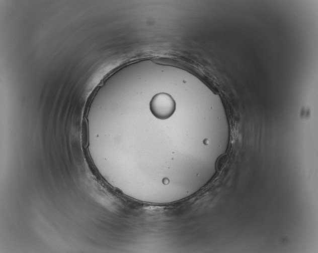 X0000111610052200907311149