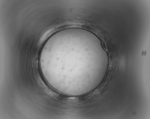 X0000111610053200907311149