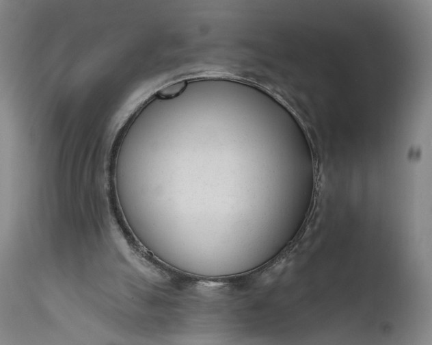 X0000111610055200907311149