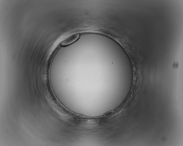 X0000111610056200907311149