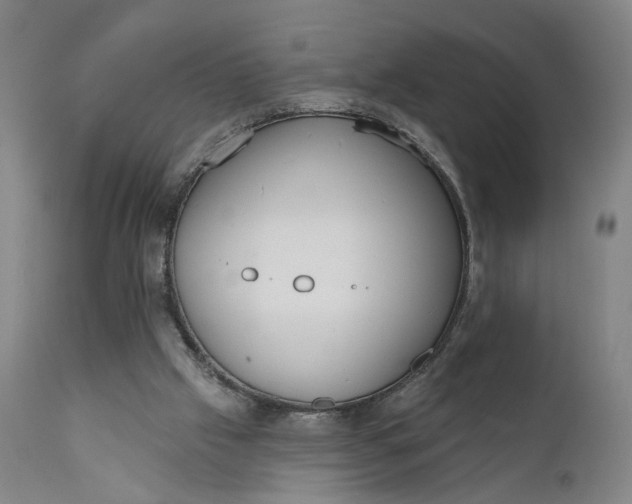 X0000111610057200907311149