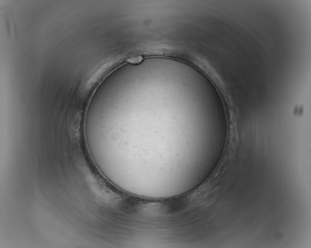 X0000111610058200907311149