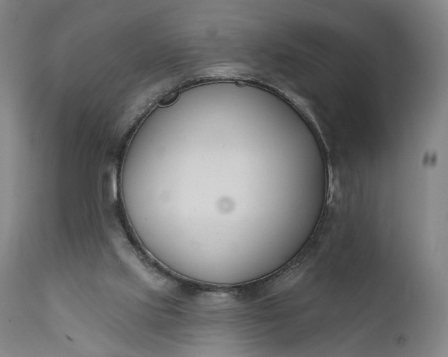 X0000111610061200907311149