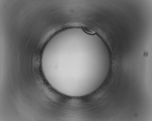 X0000111610063200907311149