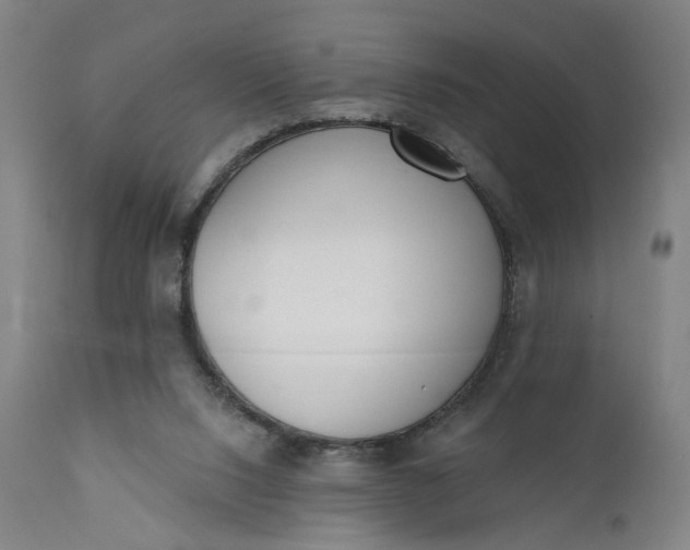 X0000111610064200907311149