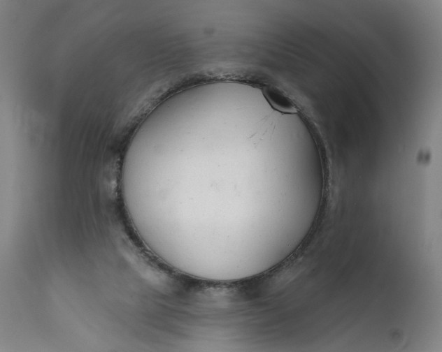 X0000111610065200907311149