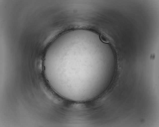 X0000111610067200907311149