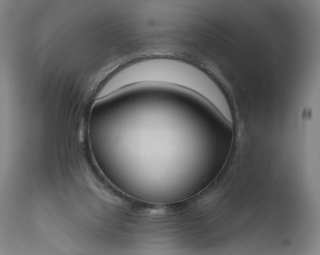 X0000111610068200907311149