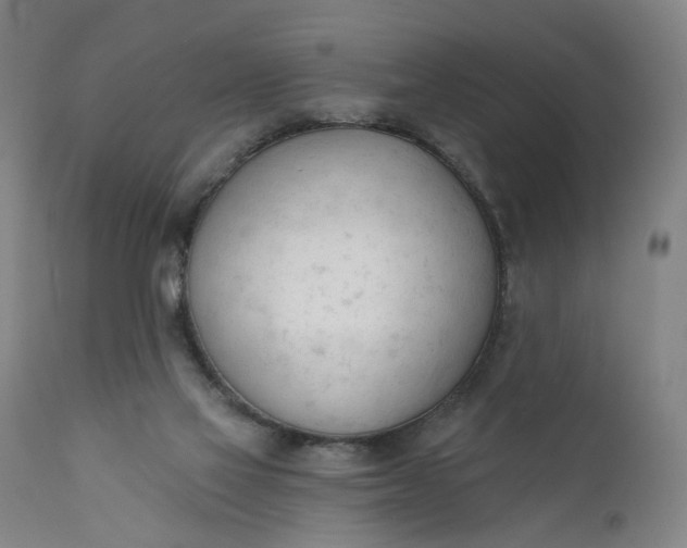 X0000111610069200907311149