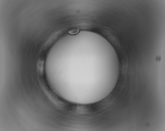 X0000111610070200907311149