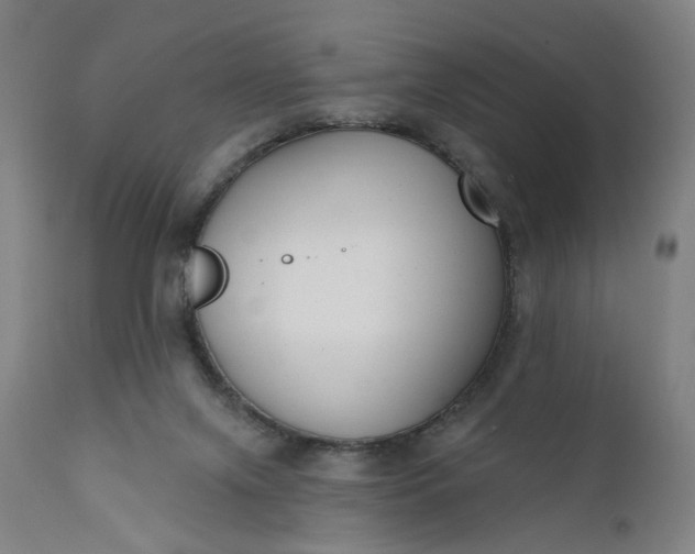 X0000111610071200907311149