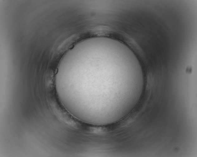 X0000111610073200907311149