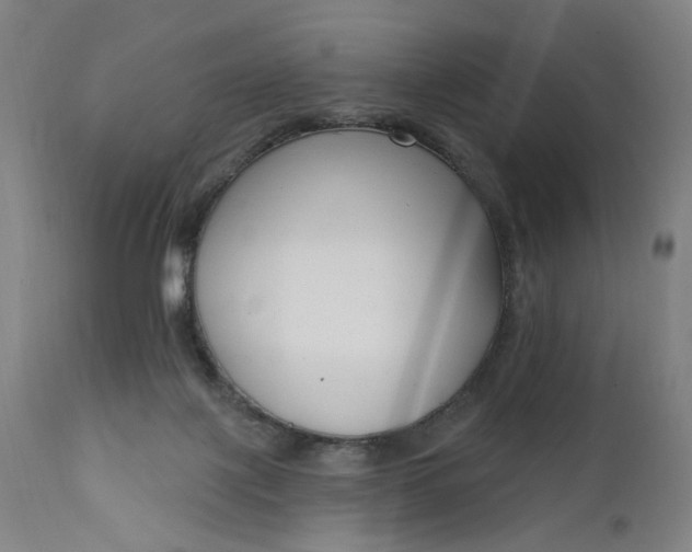 X0000111610075200907311149