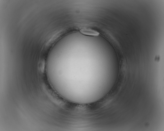 X0000111610076200907311149