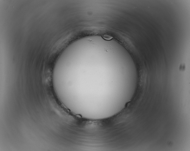 X0000111610077200907311149