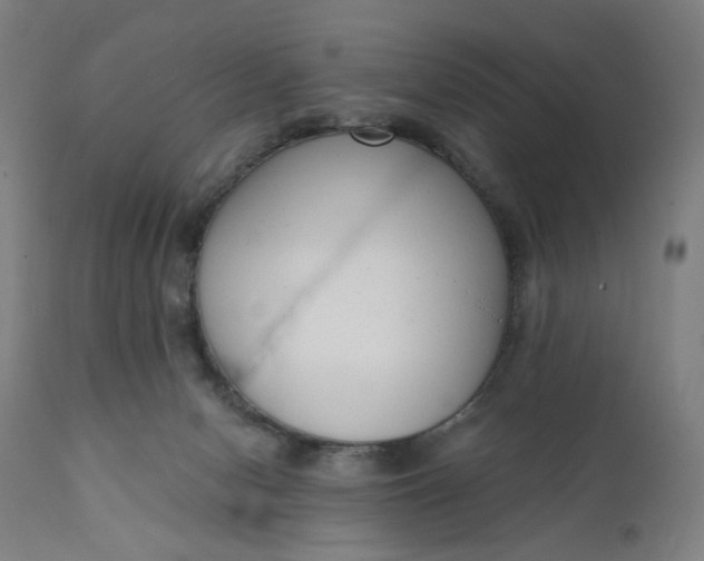 X0000111610078200907311149