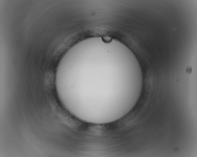 X0000111610079200907311149