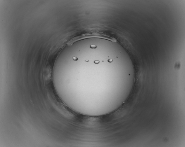 X0000111610081200907311149