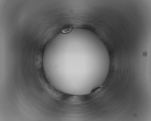 X0000111610082200907311149