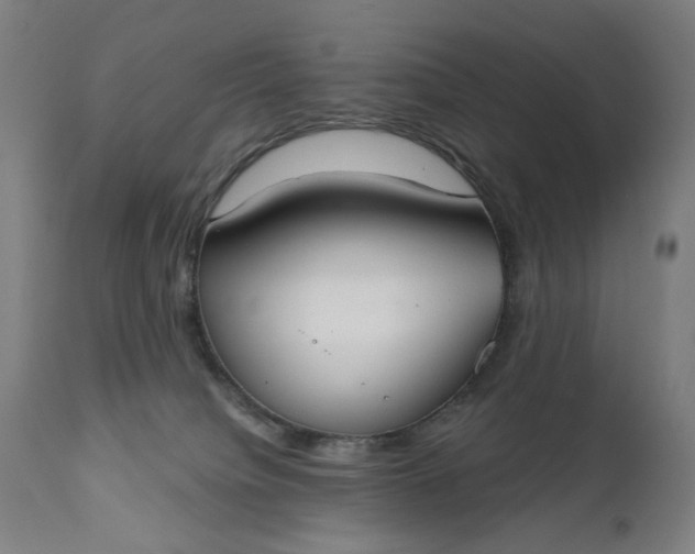 X0000111610084200907311149