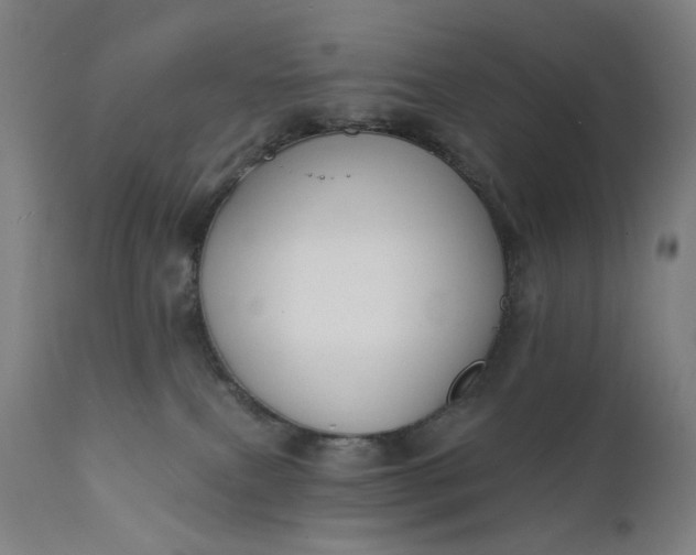 X0000111610087200907311149