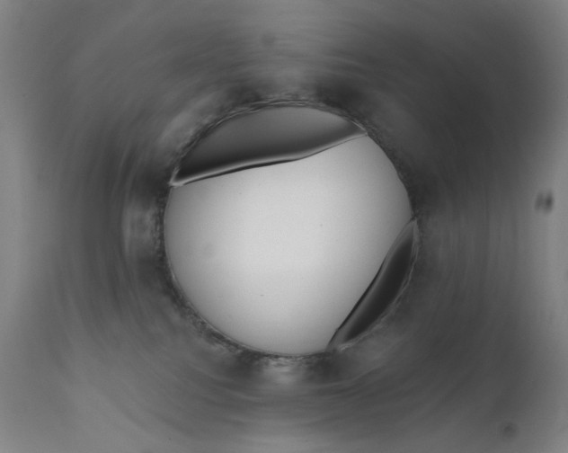 X0000111610088200907311149