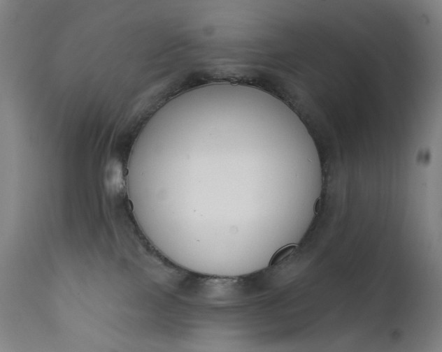 X0000111610089200907311149