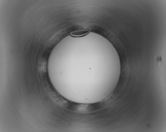 X0000111610090200907311149