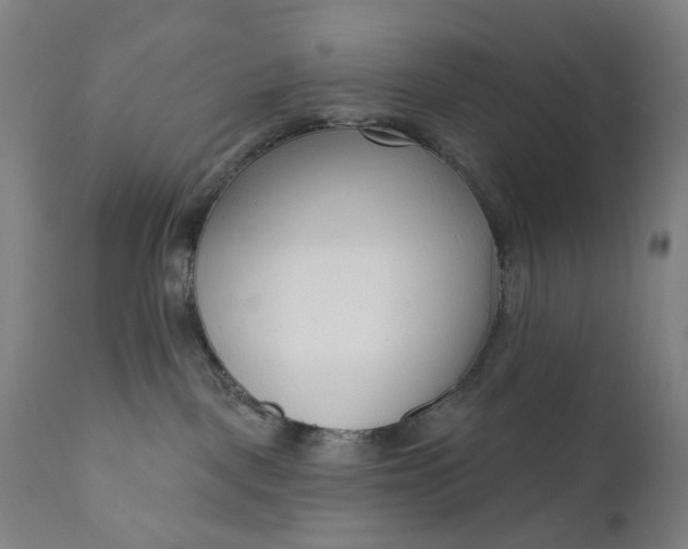 X0000111610093200907311149