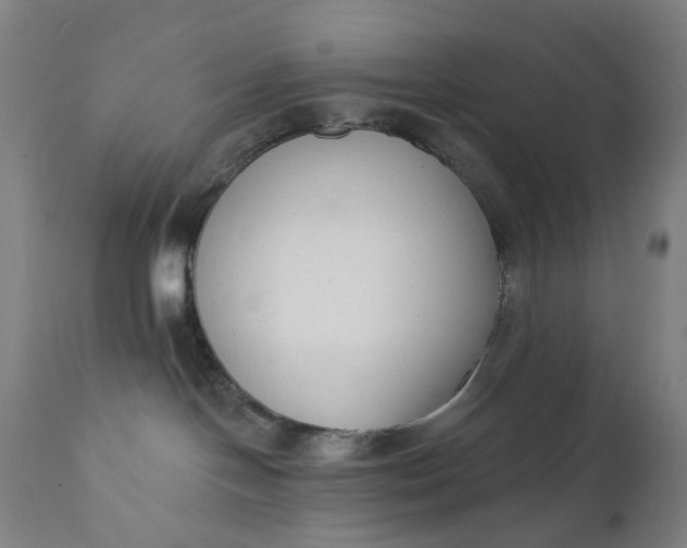 X0000111610094200907311149