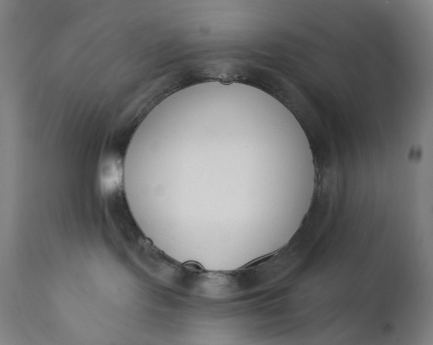 X0000111610095200907311149