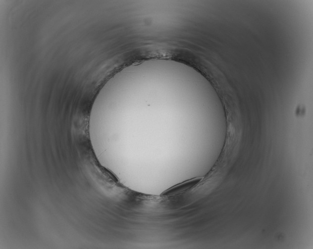 X0000111610096200907311149