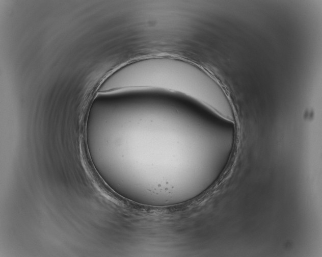 X0000111610097200907311148