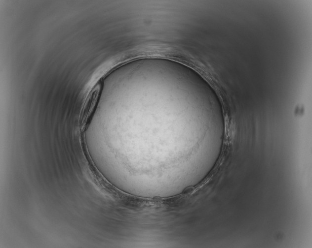 X0000111610099200907311148