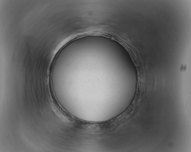 X0000111610100200907311148