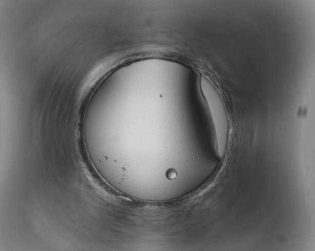 X0000111610101200907311148