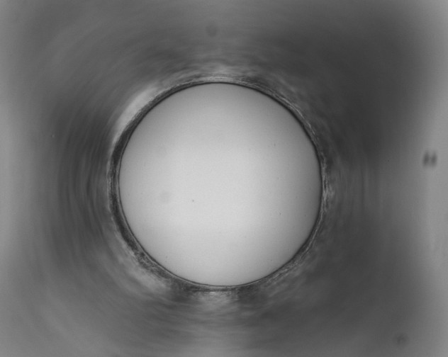 X0000111610102200907311148