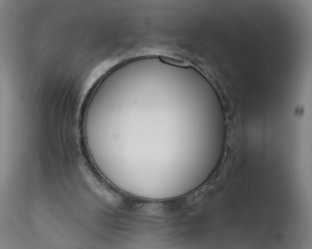 X0000111610104200907311148