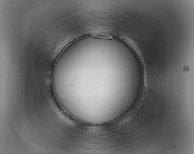 X0000111610105200907311148