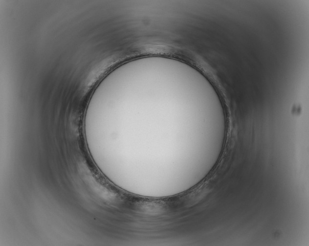 X0000111610106200907311148