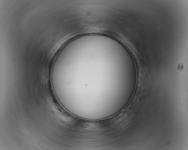 X0000111610107200907311148