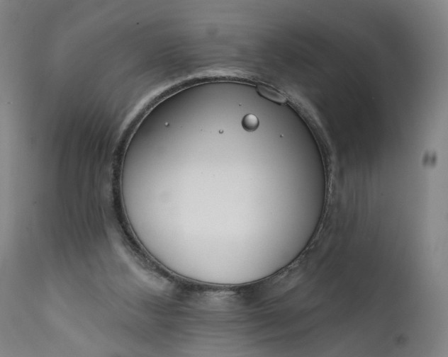 X0000111610108200907311148