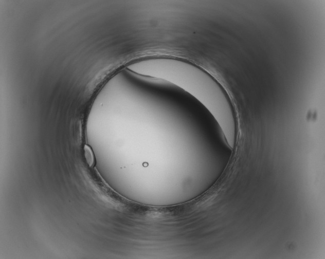 X0000111610109200907311148