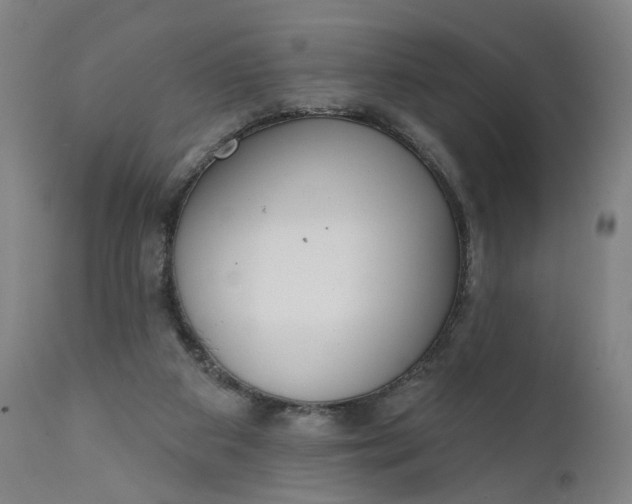 X0000111610113200907311148